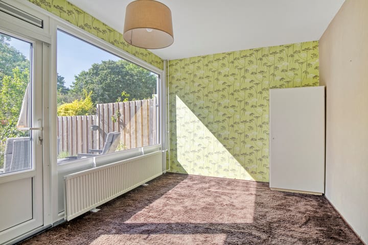 Foto 19 van Bolkruid 183