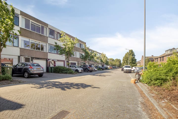 Foto 24 van Bolkruid 183