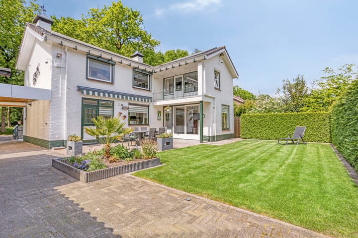 Foto 4 van Oude Rips 4