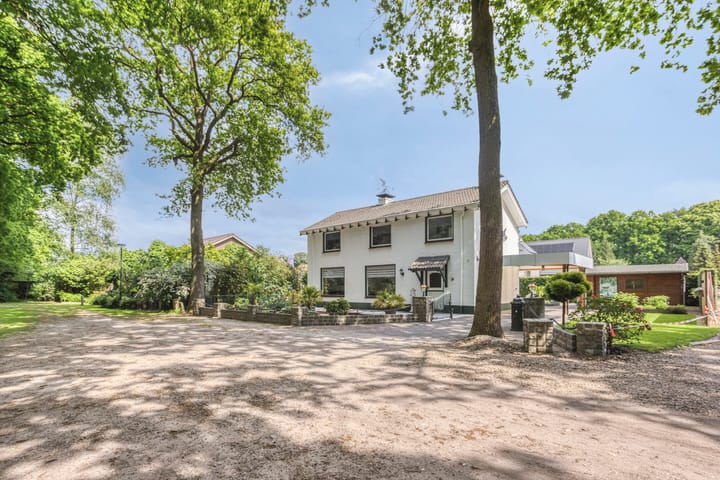 Foto 6 van Oude Rips 4