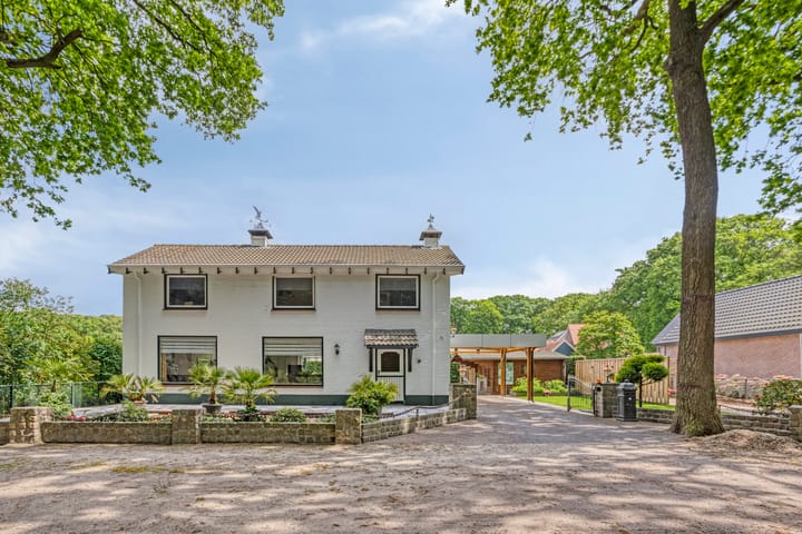 Foto 8 van Oude Rips 4