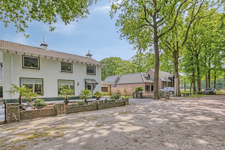 Foto 9 van Oude Rips 4