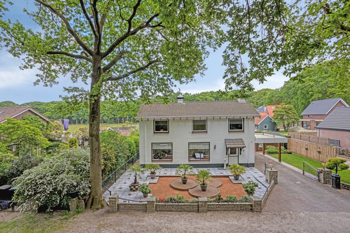 Foto 10 van Oude Rips 4