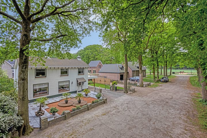 Foto 11 van Oude Rips 4