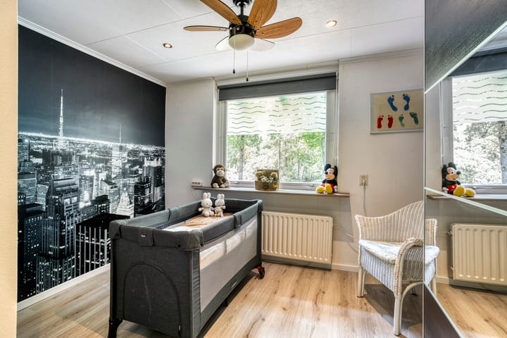 Foto 31 van Oude Rips 4