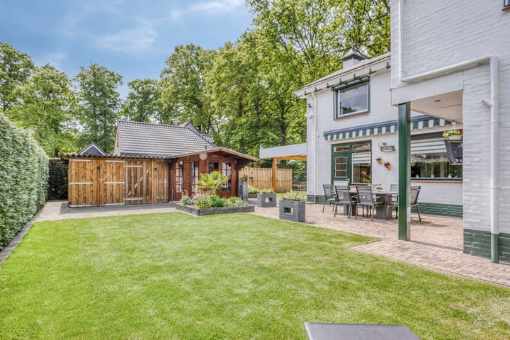 Foto 37 van Oude Rips 4