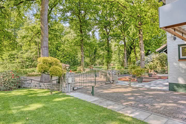 Foto 41 van Oude Rips 4