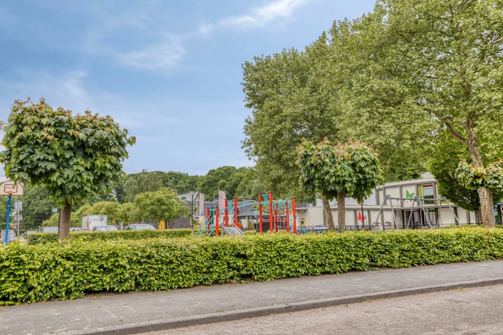 Foto 48 van Oude Rips 4