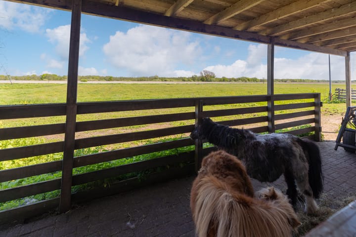 Photo 60 of Kreugerlaan 7