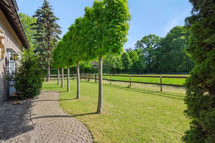 Foto 45 van Krommesteeg 7