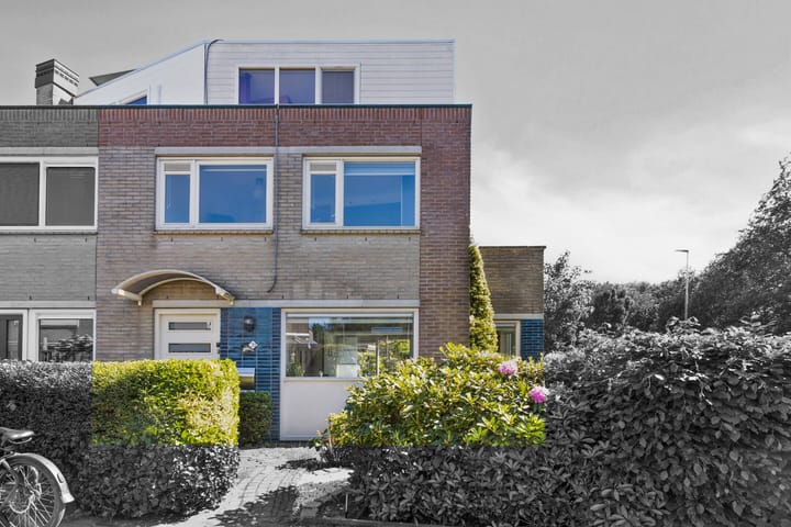 Foto 7 van Annie Salomonspad 20