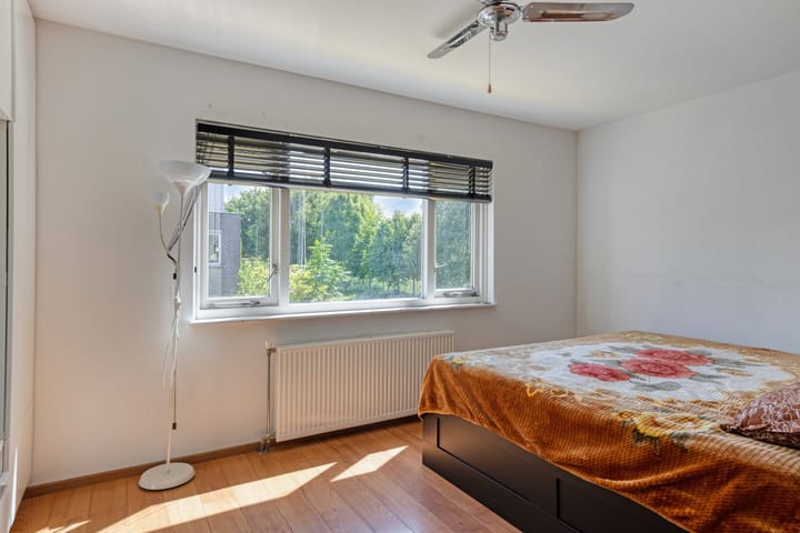 Foto 15 van Annie Salomonspad 20