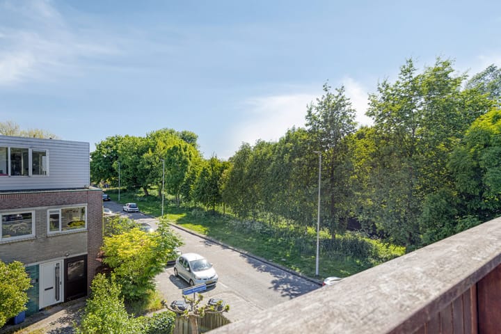 Foto 24 van Annie Salomonspad 20