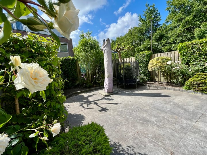 Foto 27 van Annie Salomonspad 20