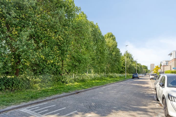 Foto 30 van Annie Salomonspad 20