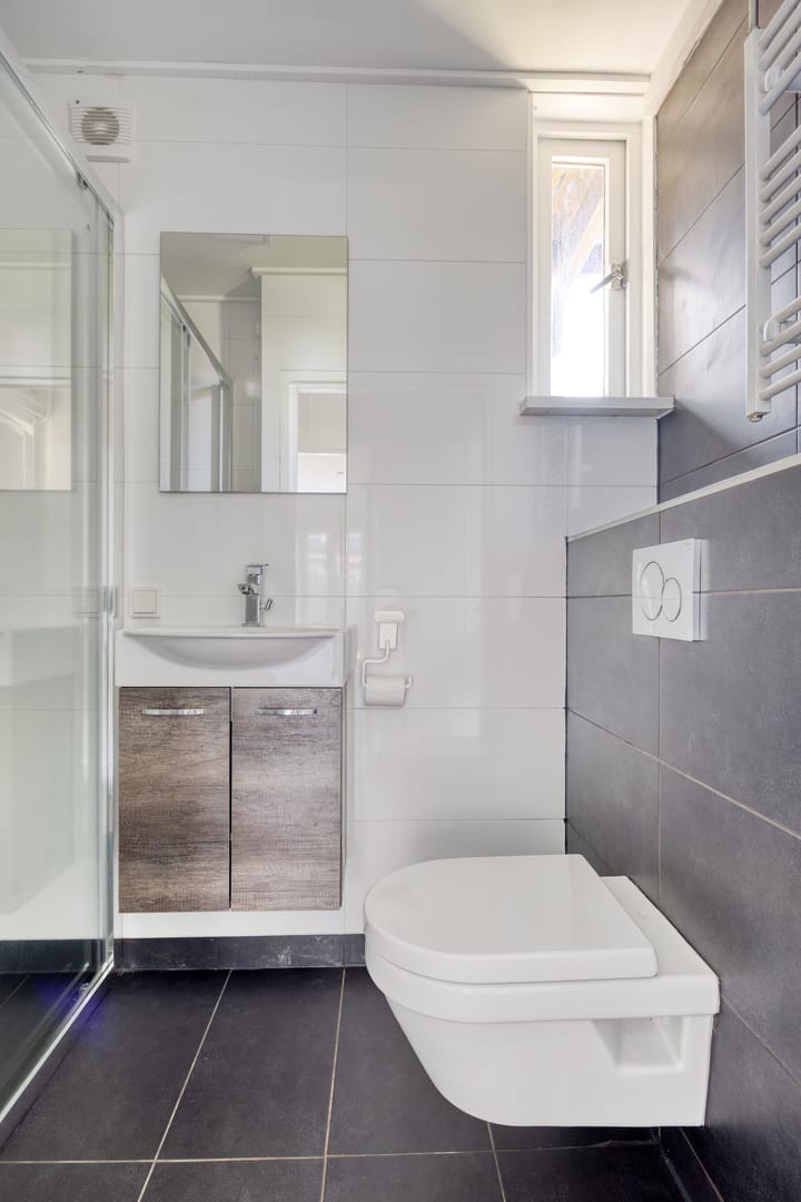 Foto 3 van De Twee Gebroeders 273