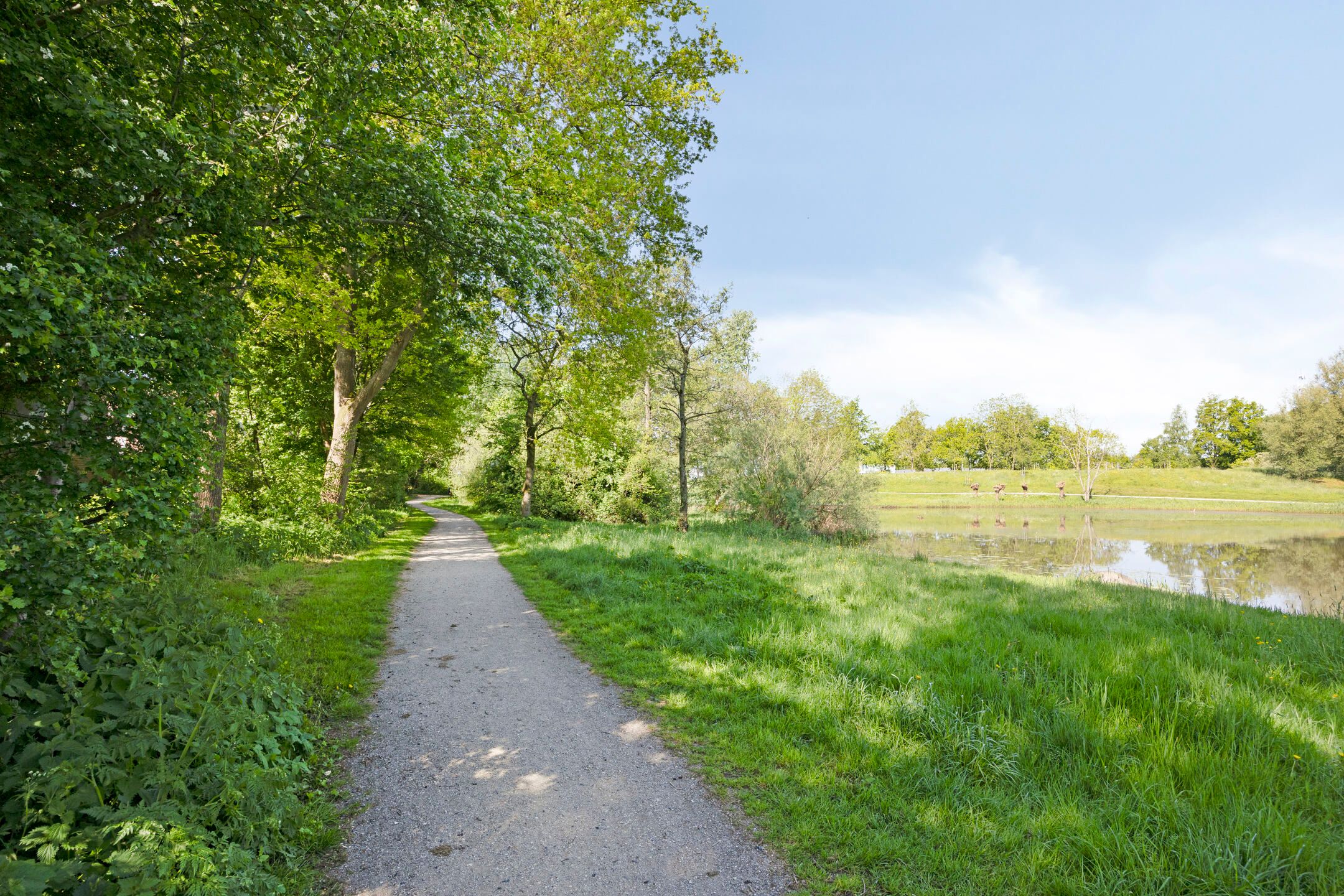 Foto 36 van De Twee Gebroeders 273