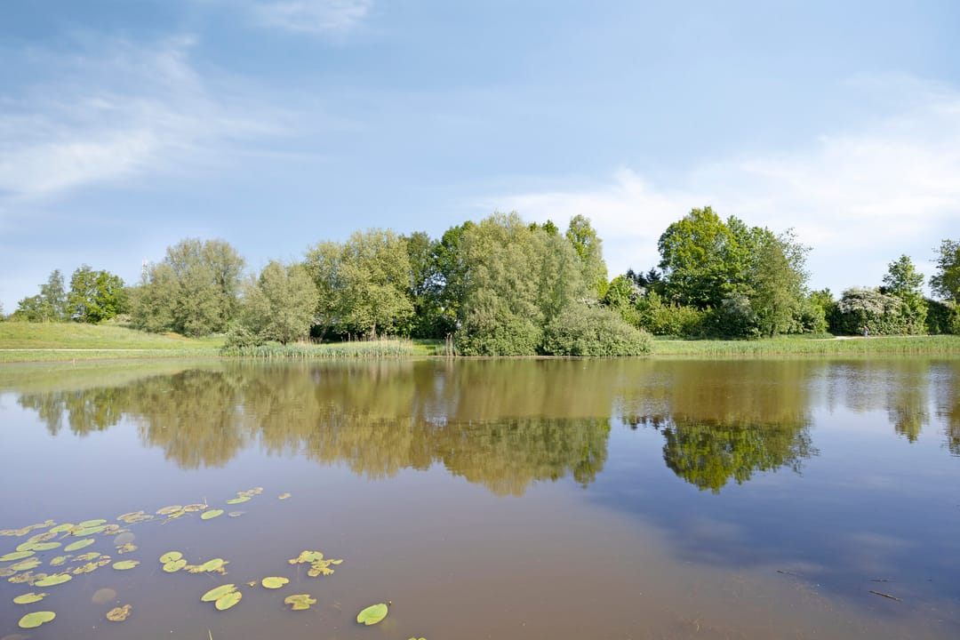 Foto 37 van De Twee Gebroeders 273