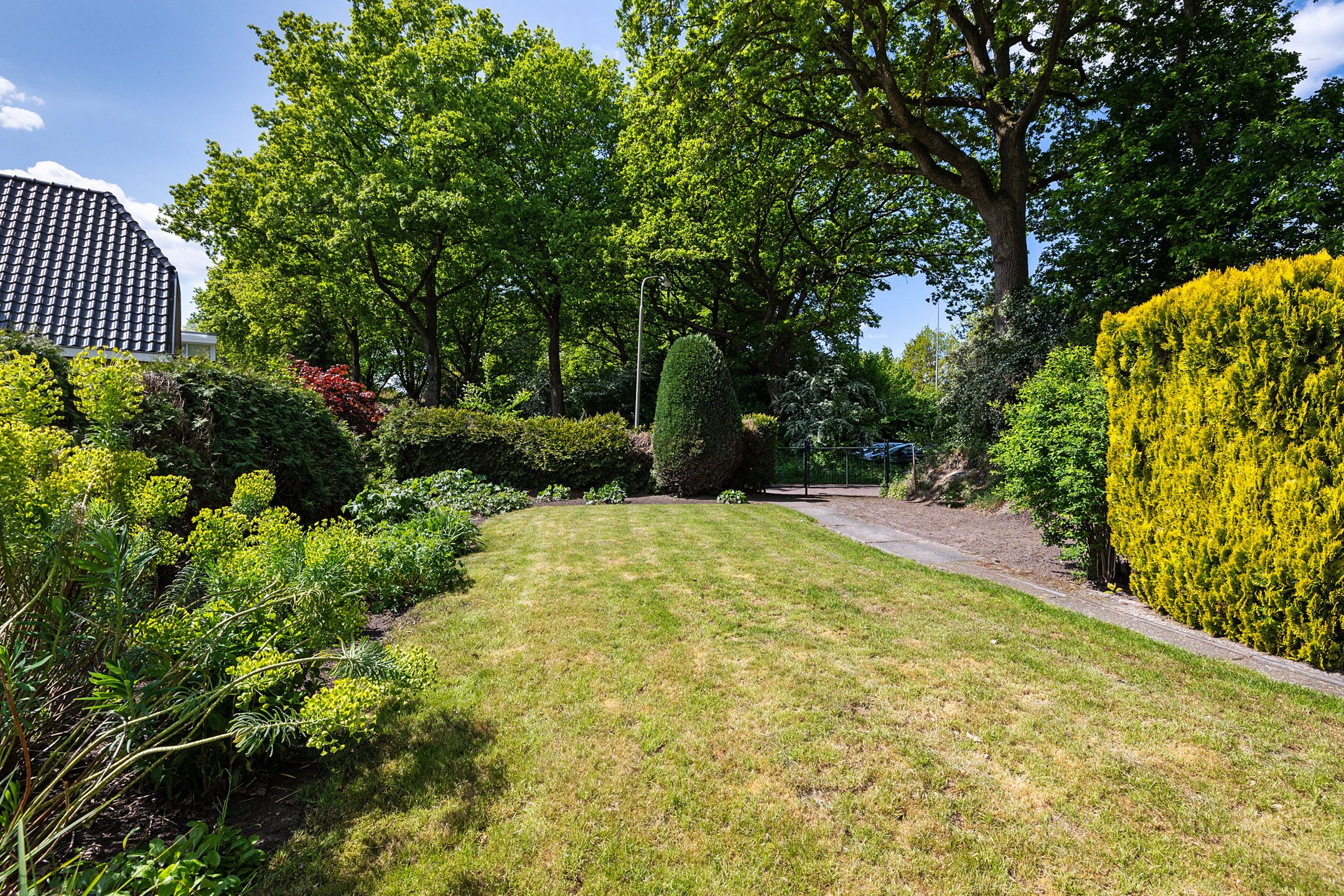 Photo 30 of Hoge Hereweg 23