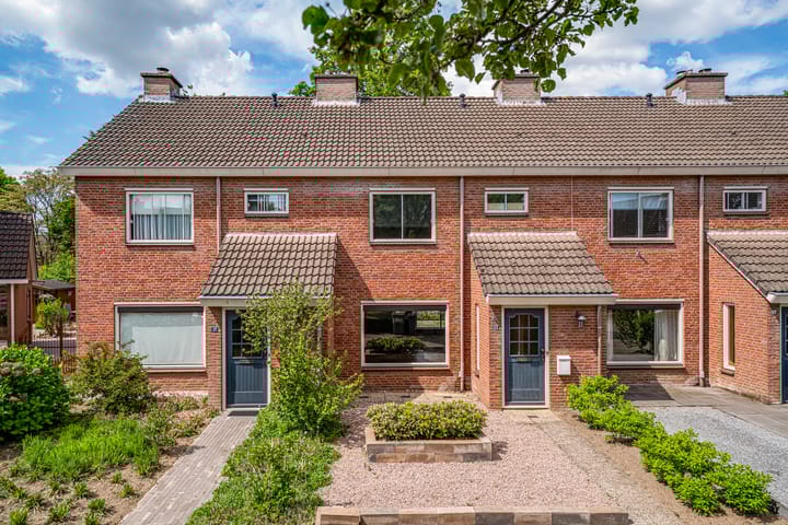 Foto 1 van de Meidoorn 23