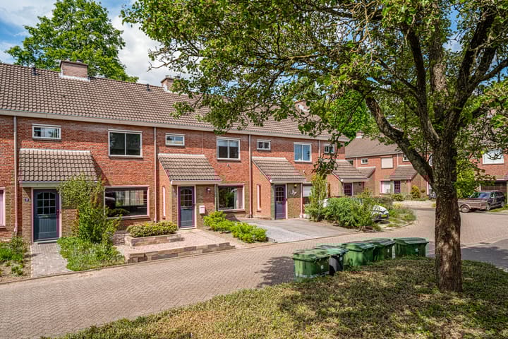 Foto 6 van de Meidoorn 23