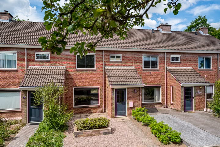 Foto 7 van de Meidoorn 23