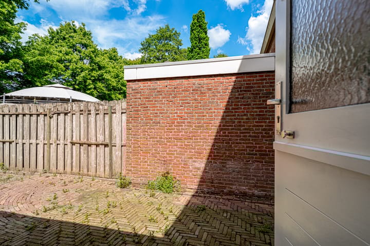 Foto 20 van de Meidoorn 23