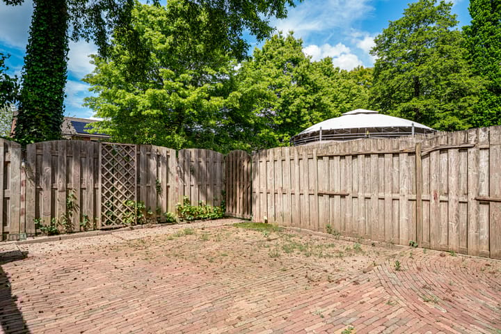 Foto 22 van de Meidoorn 23