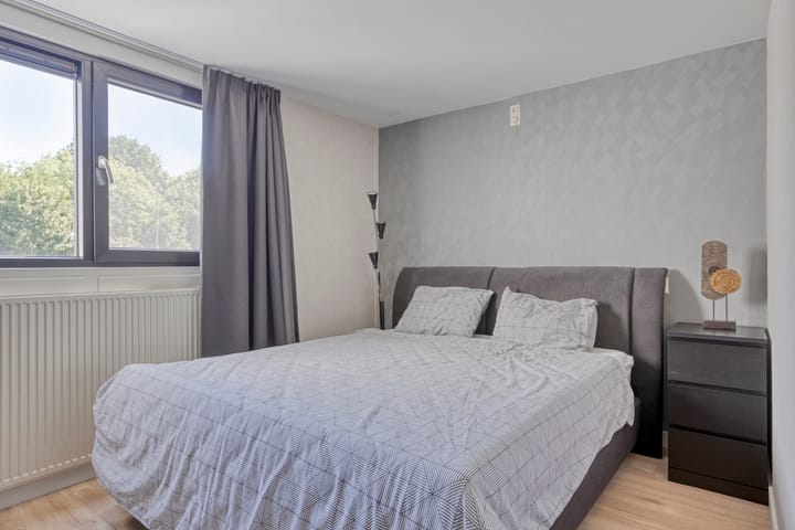 Foto 12 van Eekhoorntjesbrood 60