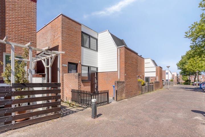 Foto 23 van Eekhoorntjesbrood 60