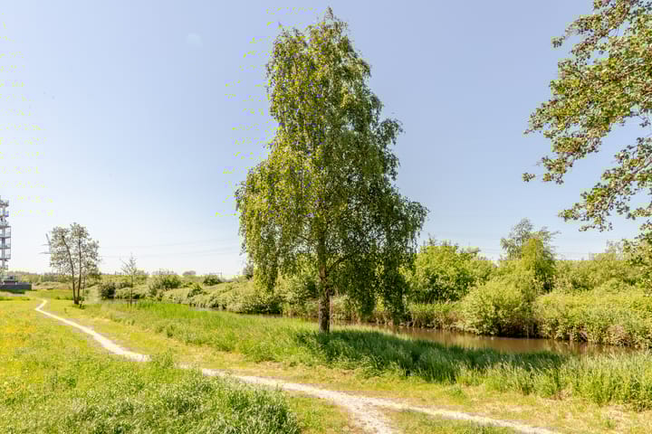 Foto 39 van Yukonstraat 35