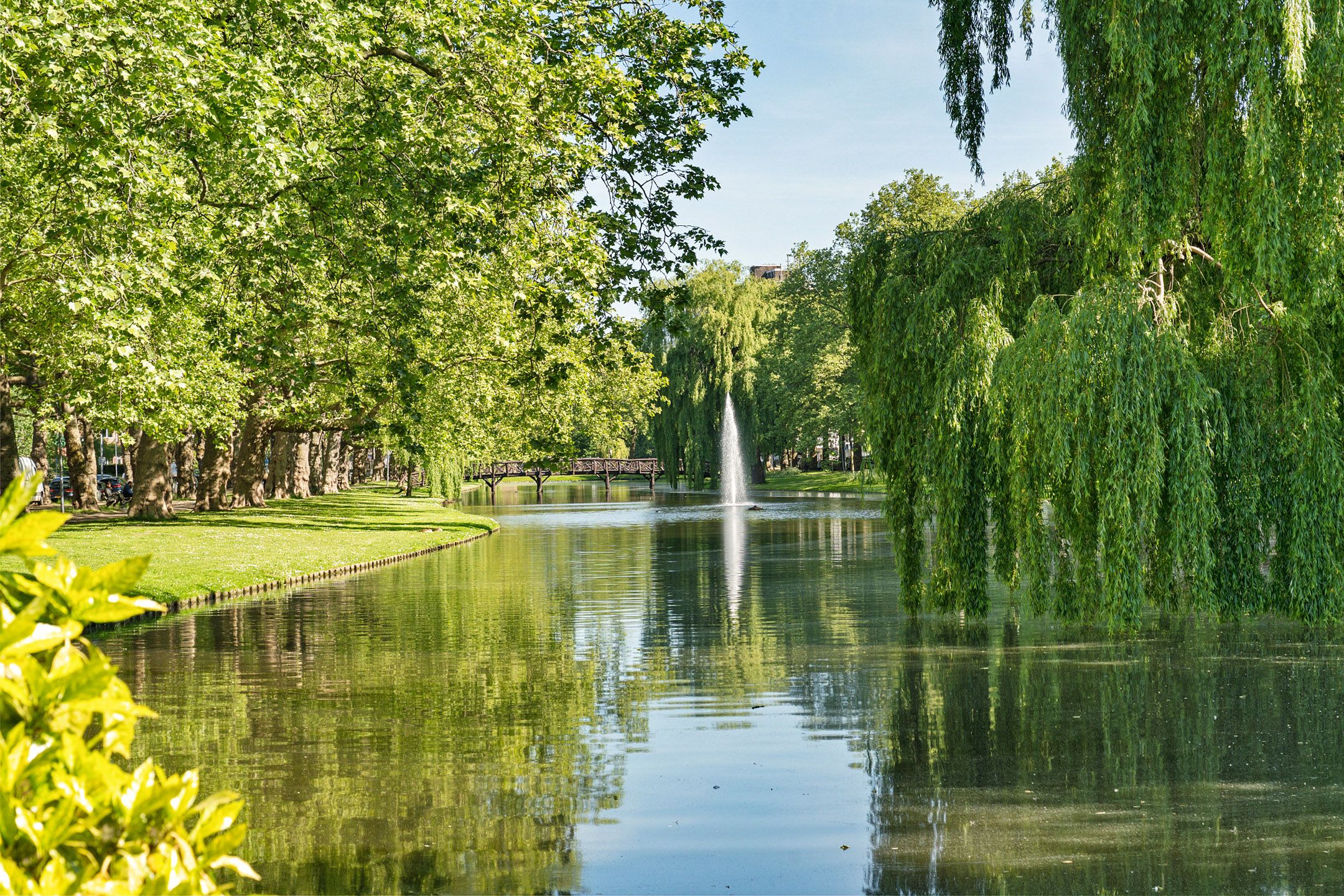 Photo 6 of Heemraadssingel 128-B