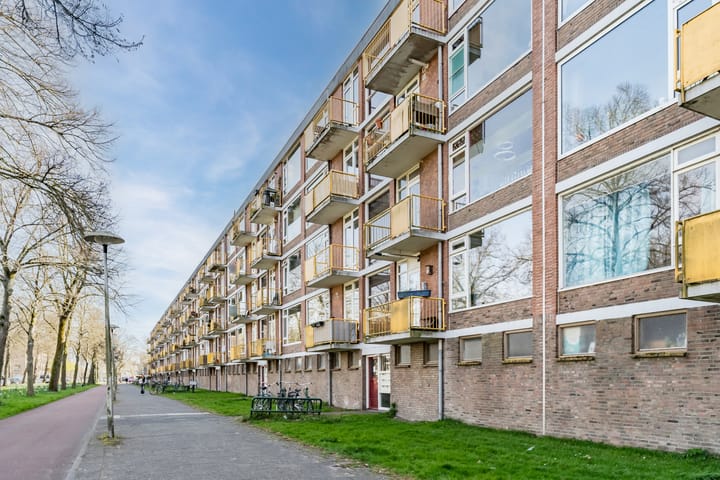 Foto 6 van Moezeldreef 199