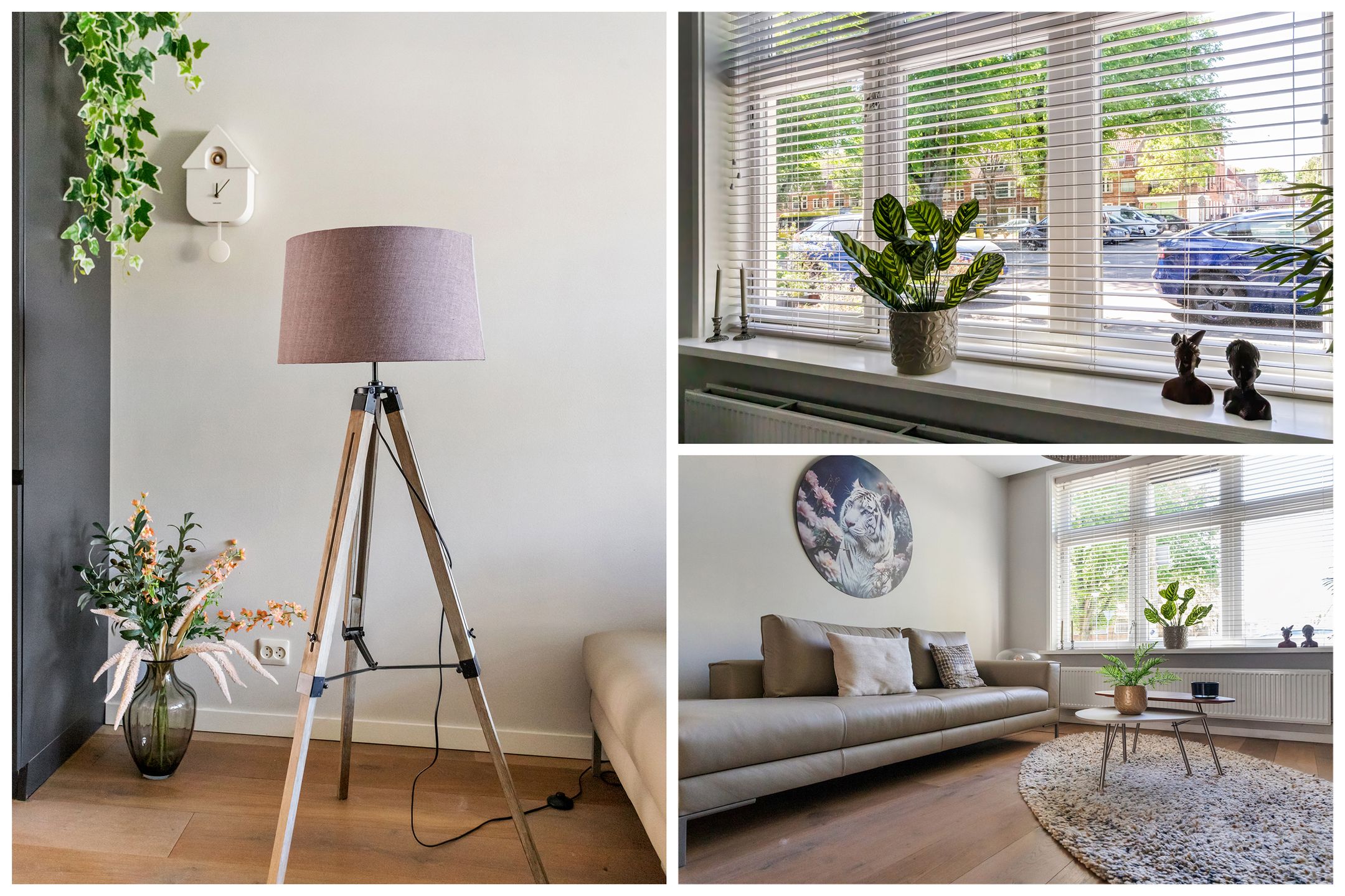 Photo 12 of Burgemeester van Tuyllkade 53