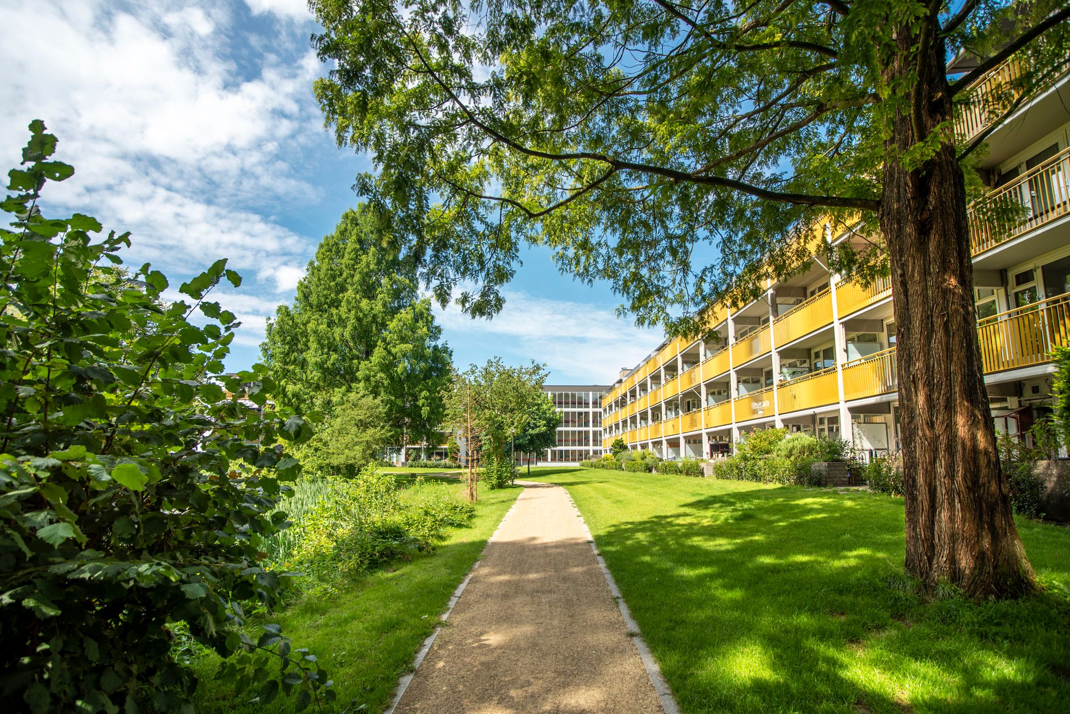 Foto 30 van Park Boswijk 592