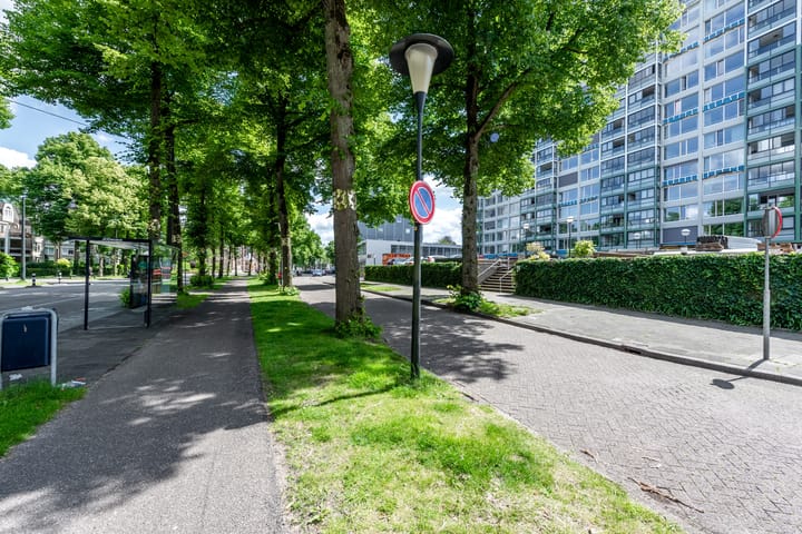 Foto 2 van Loolaan 41-1