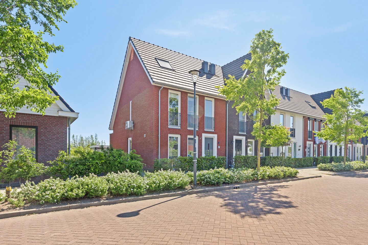 Foto 1 van Meerkoet 9