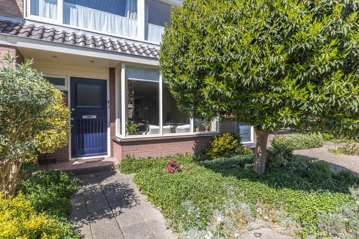 Foto 2 van Iepenlaan 49