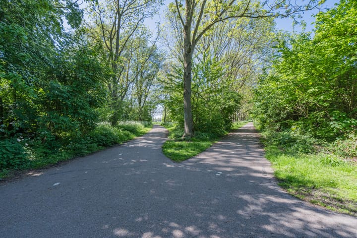 Photo 41 of Uitlaat 3