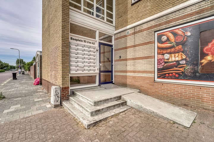 Foto 6 van Bosplein 26