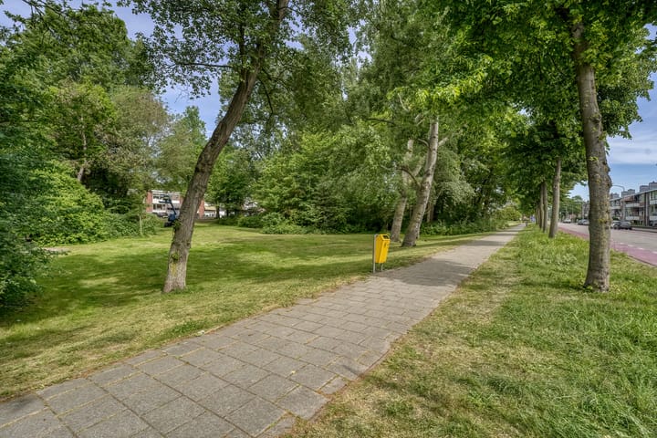 Foto 35 van Bosplein 26