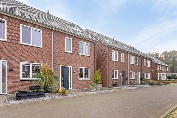 Foto 29 van Turfsteker 6