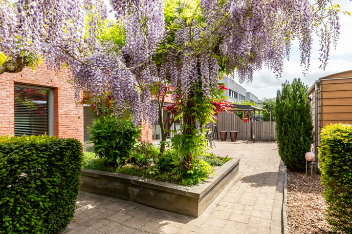 Foto 36 van Carel Willinklaan 62