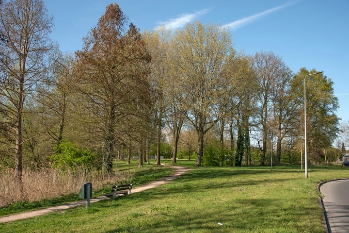 Foto 49 van Tunisstraat 25