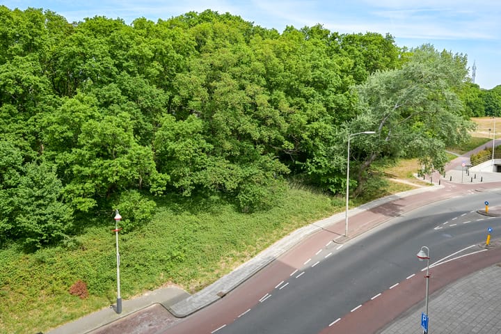 Photo 27 of Waalsdorperweg 371