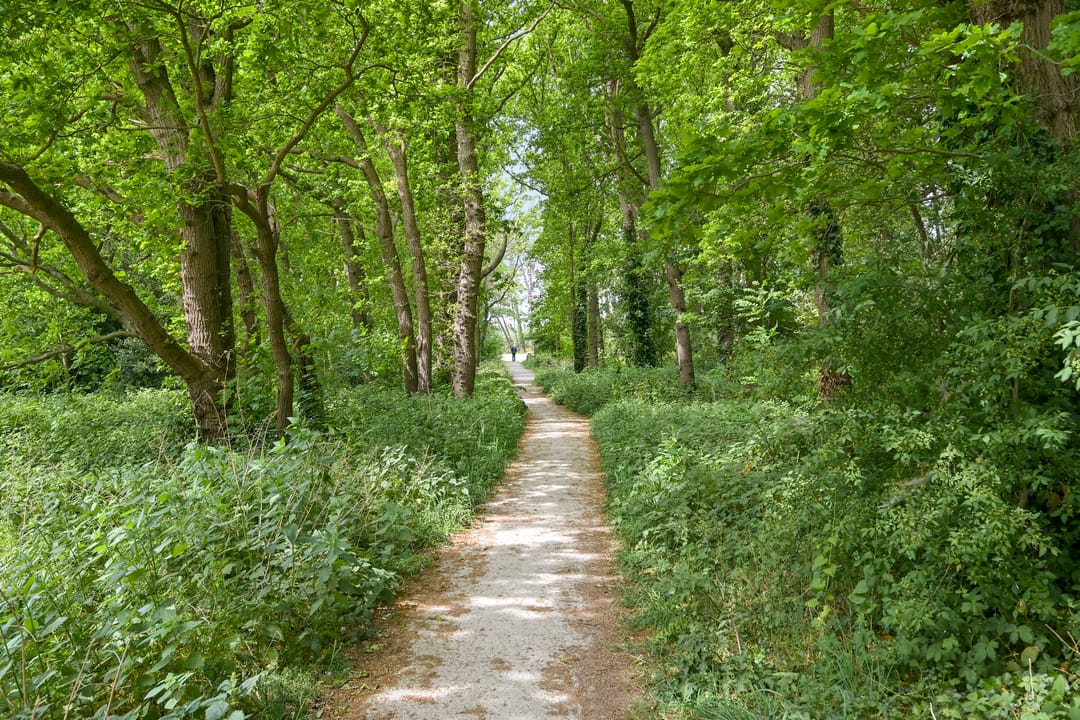 Foto 28 van Waalsdorperweg 371