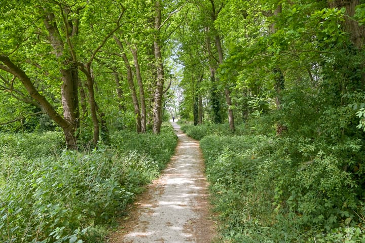 Photo 28 of Waalsdorperweg 371