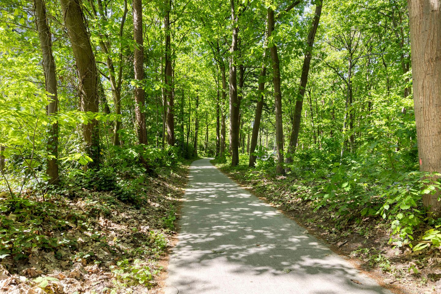 Foto 40 van Laan van de Eekharst 84