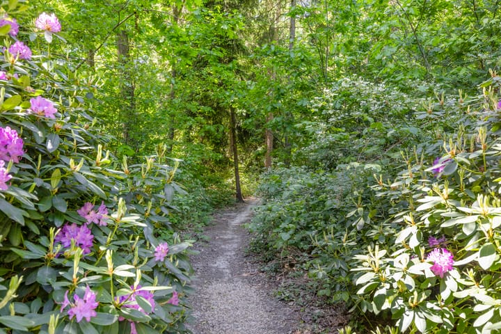 Foto 41 van Laan van de Eekharst 84