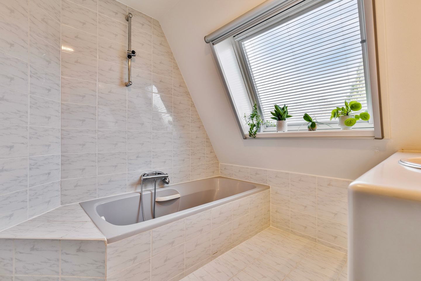 Foto 44 van Bladmoshof 25